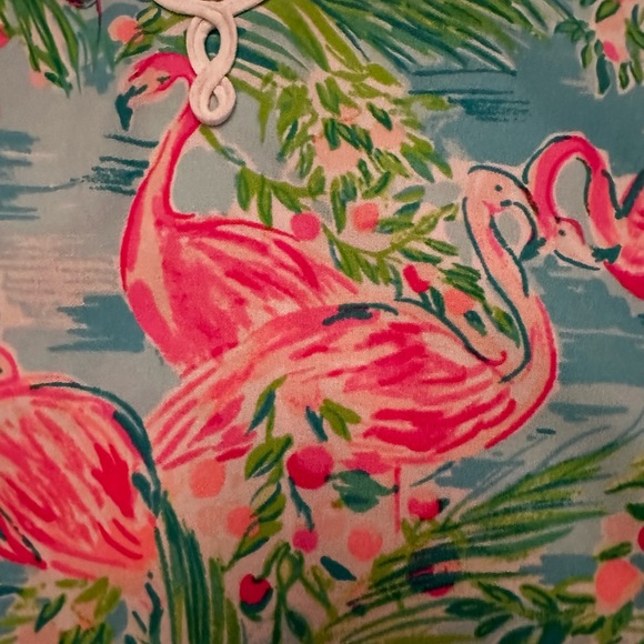 Lilly Pulitzer Jane Shift Dress in Floridita🦩Flamingo Print🦩Size 12 EUC Comfy - Picture 4 of 10